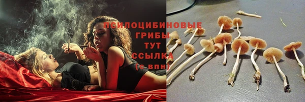 экстази Абаза