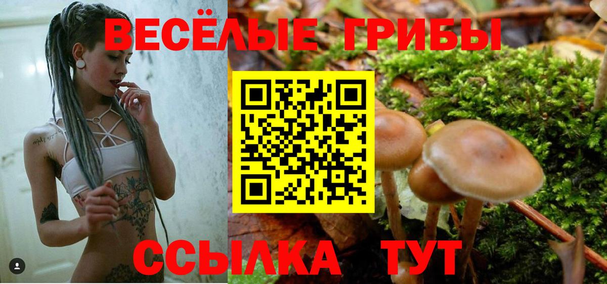 Галлюциногенные грибы Cubensis  Вход с VPN  Керчь  Псилоцибиновые грибы мухоморы 